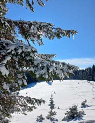 baerofenjpg.jpg | Erlebnisregion Südsteiermark