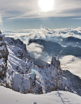 Mit den Schneeschuhen unterwegs im Gebiet der Aflenzer Bürgeralm | WEGES | © TV Hochsteiermark