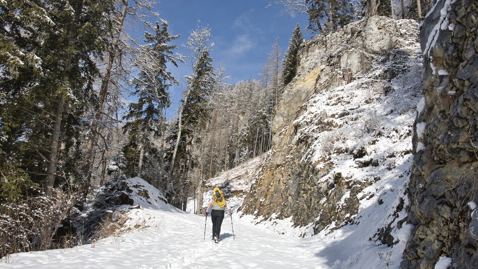 Schneeschuhwandern Schneeschuhtour auf die Aflenzer Bürgeralm - Touren-Impression #2.2 | © TV Hochsteiermark