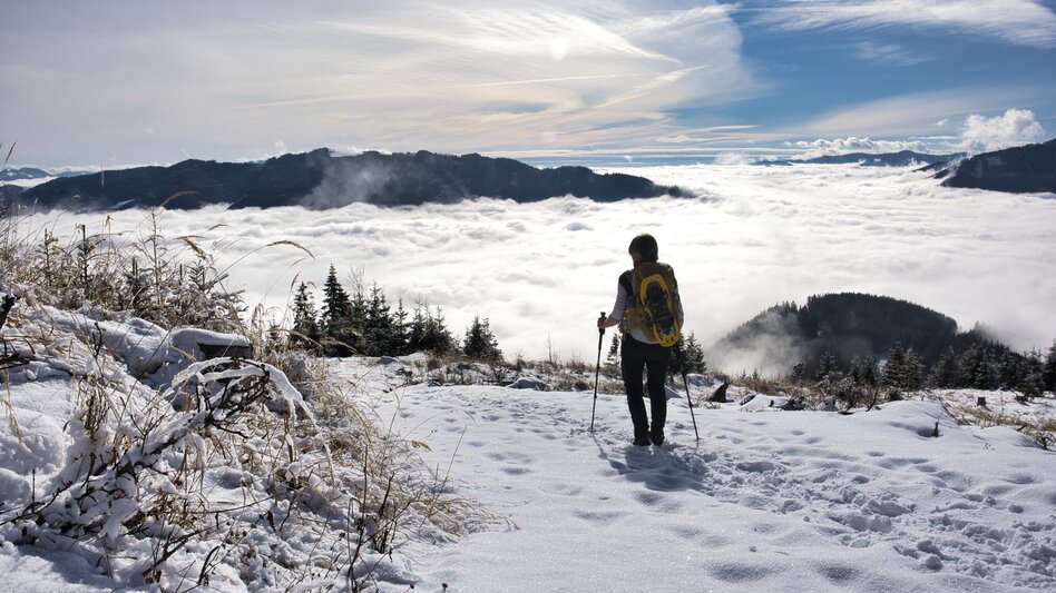 Schneeschuhwandern Schneeschuhtour auf die Aflenzer Bürgeralm - Touren-Impression #2.3 | © TV Hochsteiermark