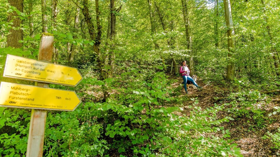 Hiking Route Gipfelwanderung im Grazer Westen - Touren-Impression #2.6 | © Graz Tourismus