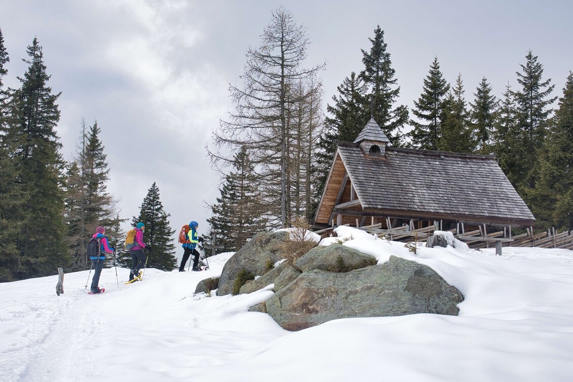 Hiking Route Reinischkogel in Winter - Touren-Impression #1 | © Weges OG