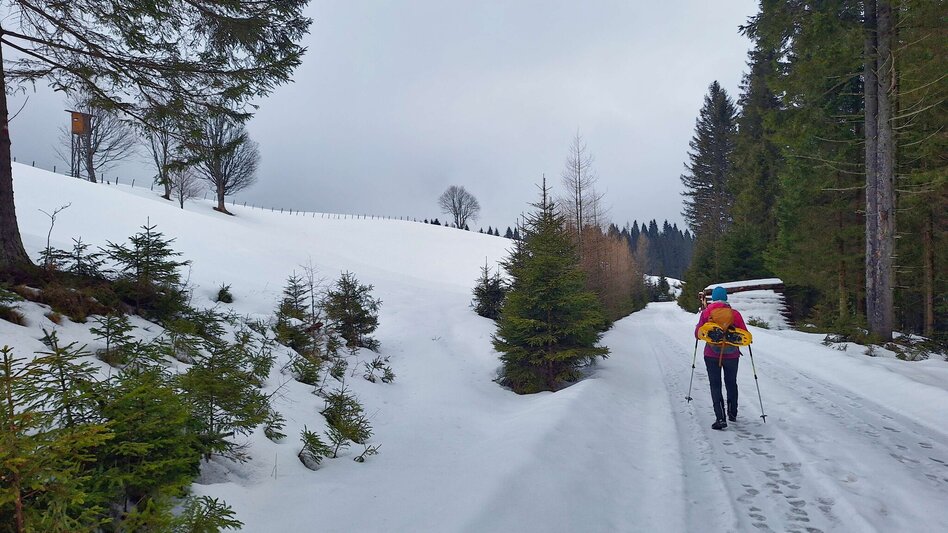 Hiking Route Reinischkogel in Winter - Touren-Impression #2.4 | © Weges OG