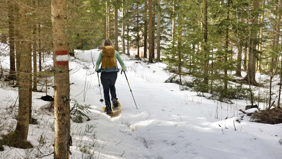 Hiking Route Reinischkogel in Winter - Touren-Impression #2.7 | © Weges OG