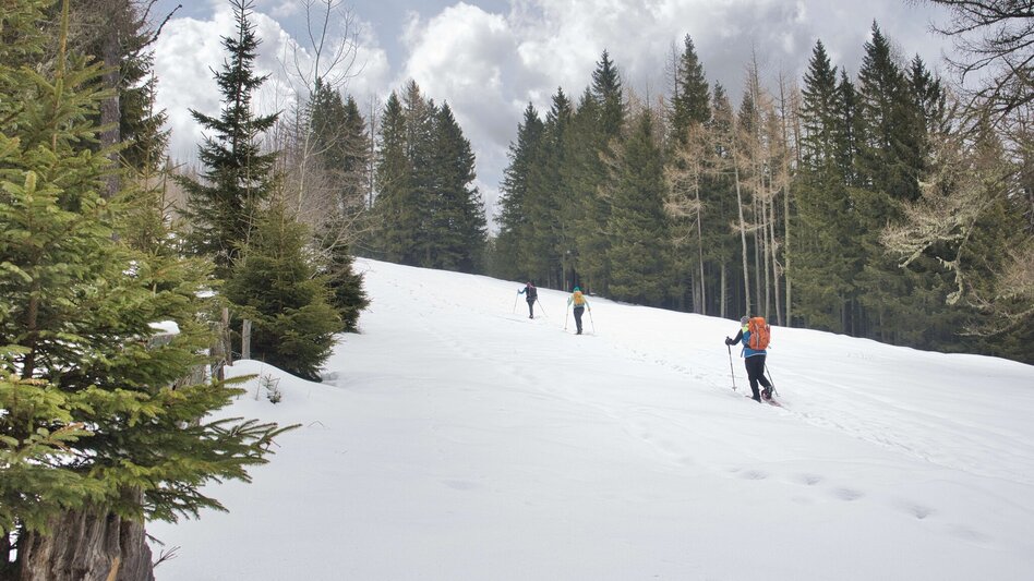 Hiking Route Reinischkogel in Winter - Touren-Impression #2.9 | © Weges OG