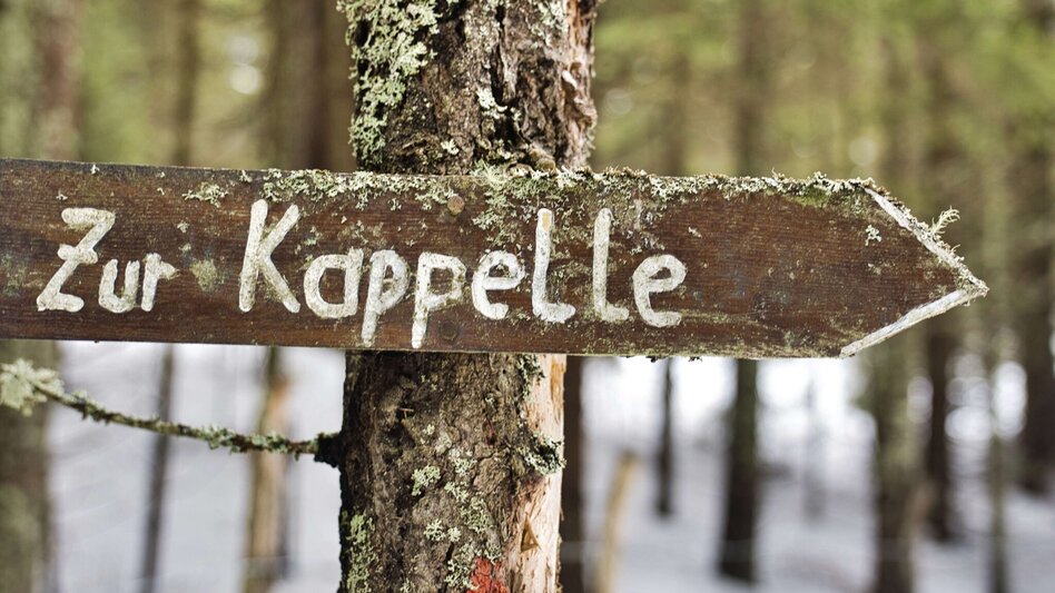 Hiking Route Reinischkogel in Winter - Touren-Impression #2.10 | © Weges OG