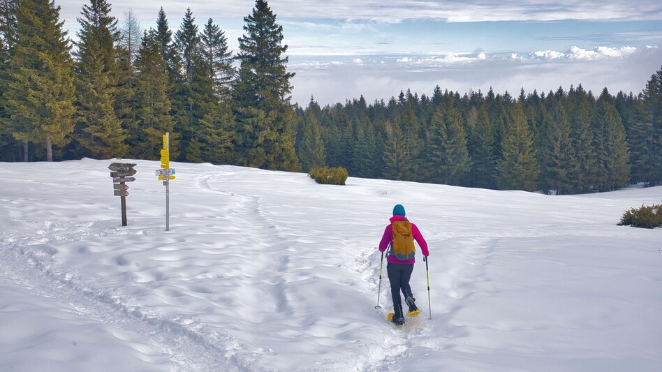 Hiking Route Reinischkogel in Winter - Touren-Impression #2.11 | © Weges OG