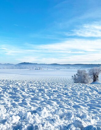 Winter | TV Südsteiermark/Eva Lehner | © TV Südsteiermark/Eva Lehner