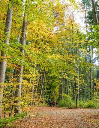 60er Roas in Grafendorf_Oststeiermark | MAGRET BERNSCHUETZ | © MAGRET BERNSCHUETZ