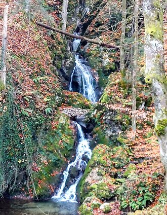 IMG-20260305-WA0000 Kopie.jpg | Noss