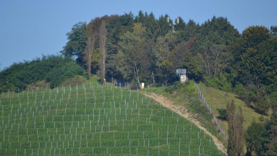 Radfahren Warte Demmerkogel & Kreuzkogel & Silberberg, Keltischer Wehrturm - Etappe 3 - Blickwechsel - Touren-Impression #2.3 | © Silberbergwarte