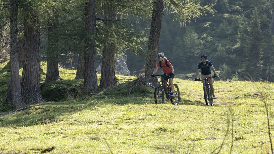 Mountainbike Fageralm Tour | SW 15  - Touren-Impression #2.2 | © Lorenz Masser