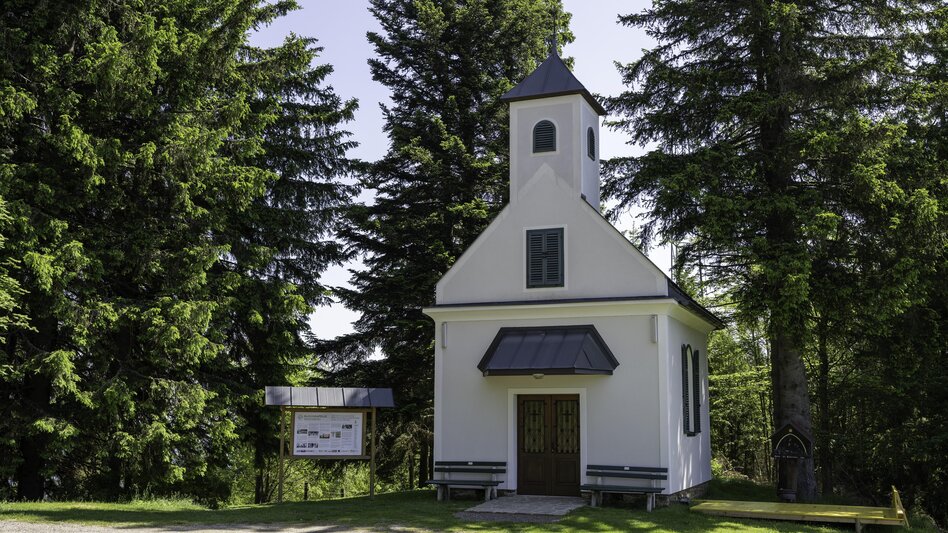 Long-Distance Hiking Trail Over the Masenberg into the Almenland: From Grafendorf to Frohnleiten - Touren-Impression #2.10 | © Kurt Elmleitner