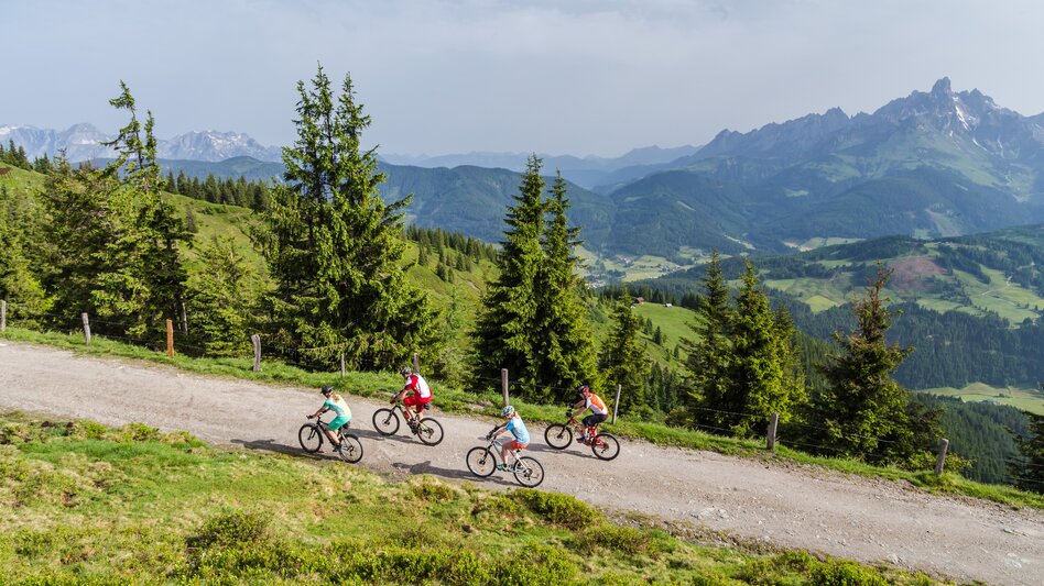 Mountain Biking Filzmoos-Rossbrand Tour |SW 01 - Touren-Impression #2.10 | © Â©CoenWeesjes_www.filzmoos.at