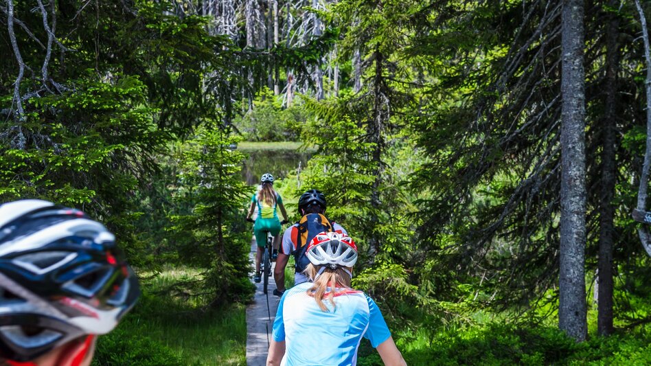 Mountain Biking Sattei Route | SW 04  - Touren-Impression #2.1 | © Â©CoenWeesjes_www.filzmoos.at