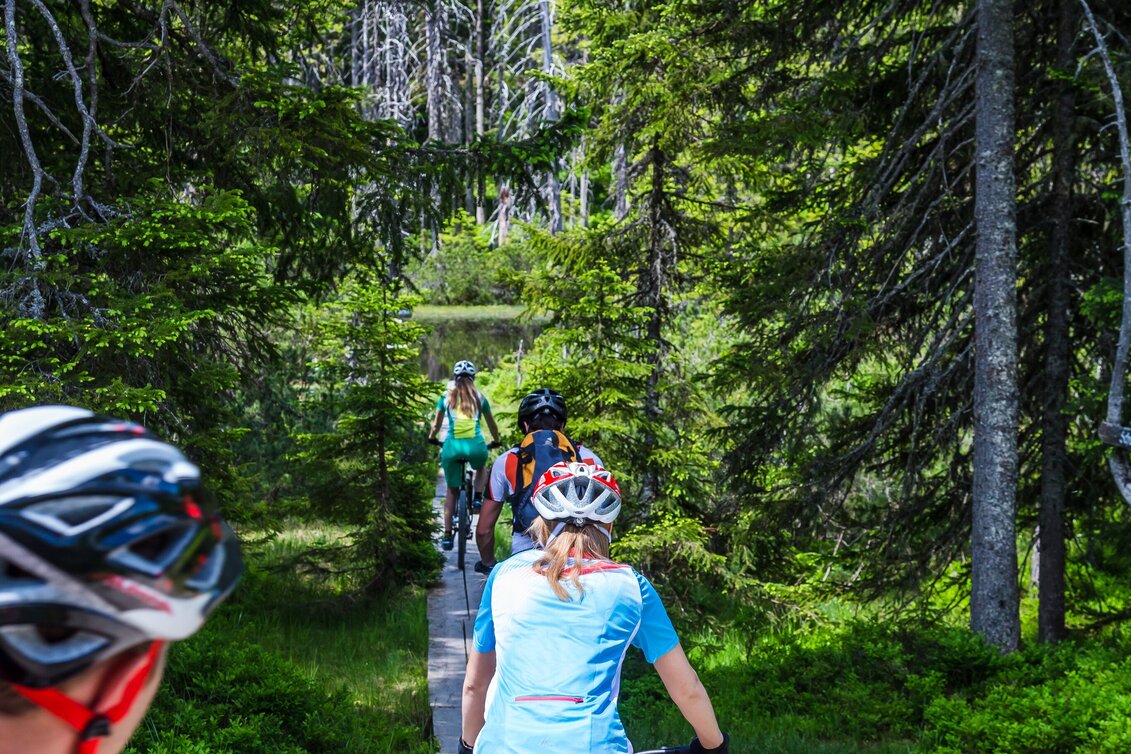 Mountain Biking Sattei Route | SW 04  - Touren-Impression #1 | © Â©CoenWeesjes_www.filzmoos.at