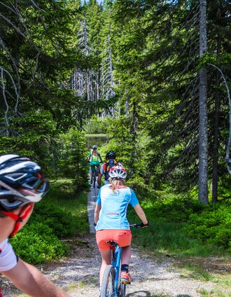 Mountain bikers on the Sattei Runde | Coen Weesjes | © Â©CoenWeesjes_www.filzmoos.at