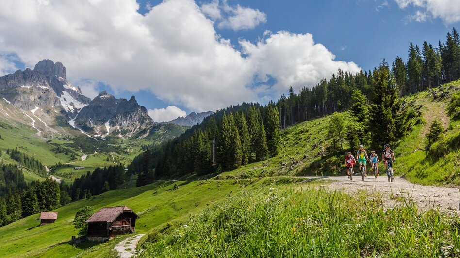 Mountain Biking Hütten-Rallye Filzmoos | SW 05 - Touren-Impression #2.4 | © Â©CoenWeesjes_www.filzmoos.at