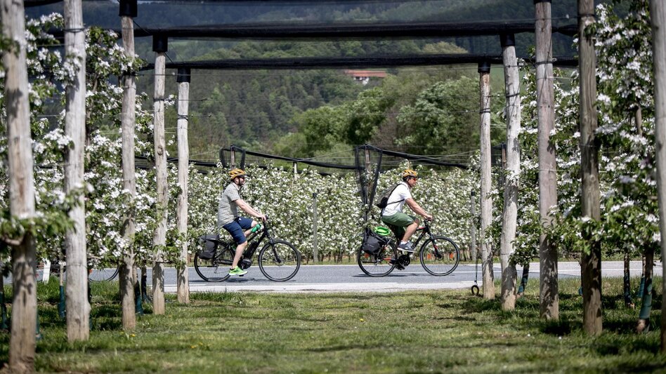 Radfahren Genuss-Radeln Familienstrecke, Ökoregion Kaindorf  - Touren-Impression #2.2 | © Steiermark Tourismus/ Ikarus