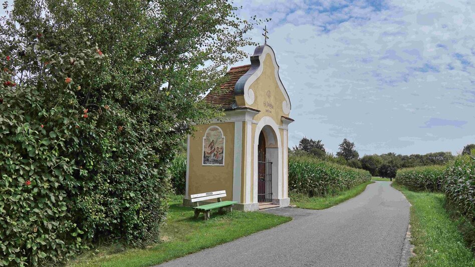 Radfahren Genuss-Radeln Familienstrecke, Ökoregion Kaindorf  - Touren-Impression #2.6 | © Oststeiermark Tourismus