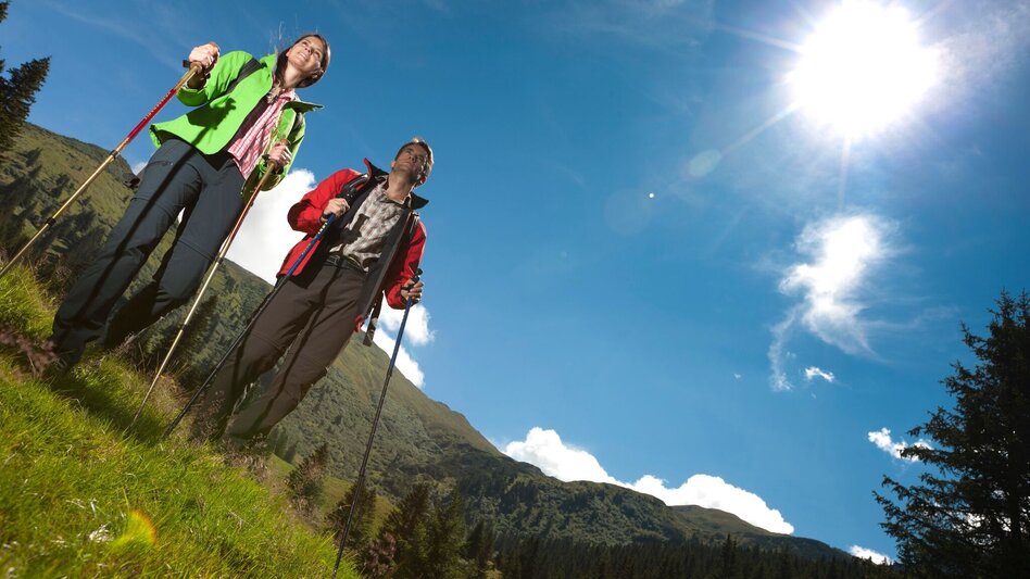 Wanderung Etappe 07 Vom Gletscher zum Wein Nordroute Wörschach - Lassing - Touren-Impression #2.4 | © Steiermark Tourismus/Harry Schiffer
