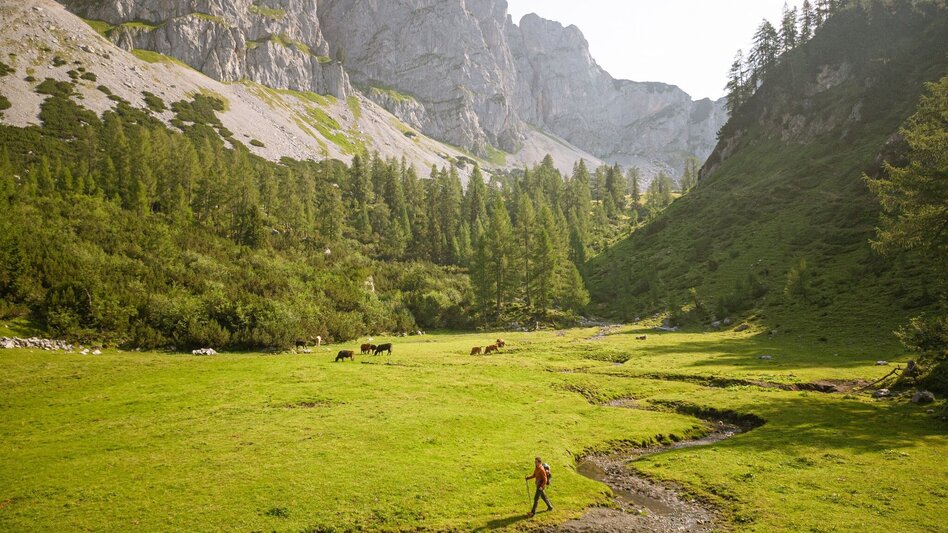 Hiking Route Sun Trail Dachstein: 3 days along Dachstein's sunny side - Touren-Impression #2.3 | © Weitwanderwege.com