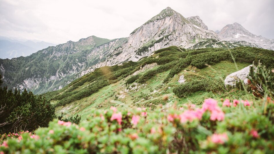 Hiking Route Sun Trail Dachstein: 3 days along Dachstein's sunny side - Touren-Impression #2.7 | © Erlebnisregion Schladming-Dachstein