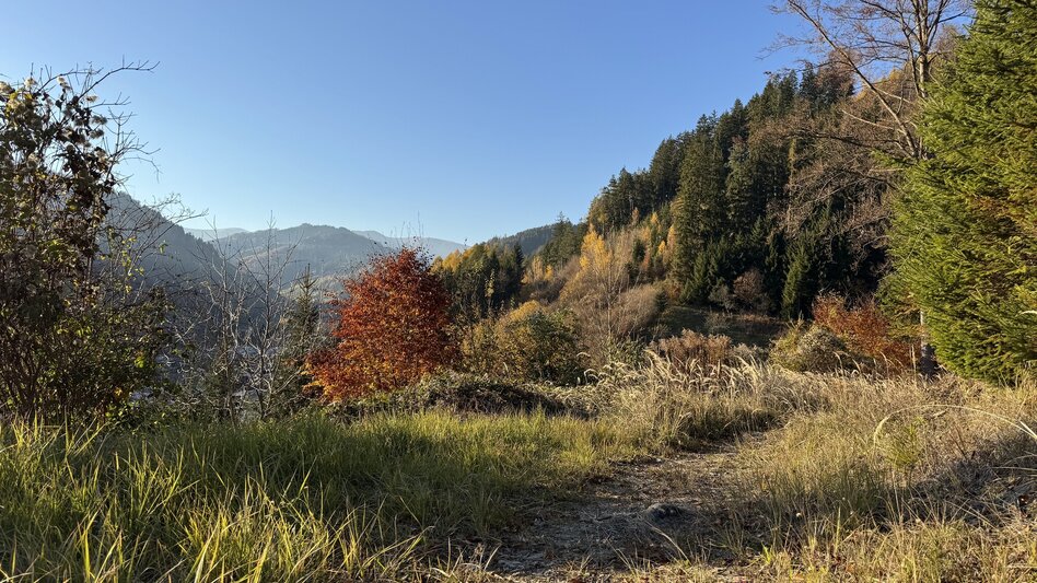 Wanderung Übelbacher Silberweg - Touren-Impression #2.10 | © draussenSEIN