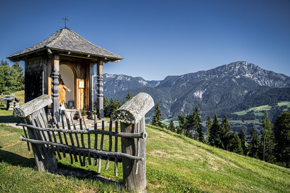 Themen- und Lehrpfad Kraftquellenweg  Pruggererberg - Touren-Impression #1 | © Gerhard Pilz