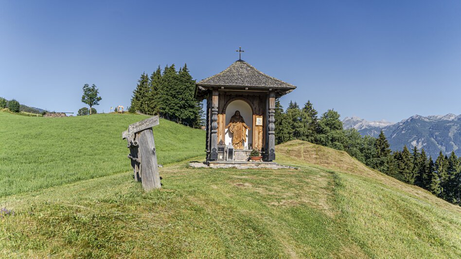 Themen- und Lehrpfad Kraftquellenweg  Pruggererberg - Touren-Impression #2.5 | © Gerhard Pilz