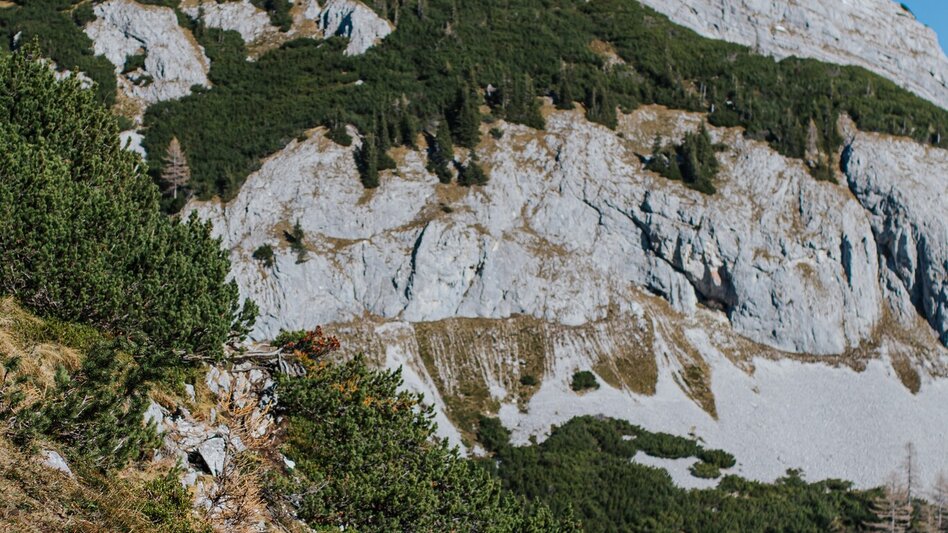 Wanderung Wanderung über den alten Almweg von Tauplitz auf die Tauplitzalm - Touren-Impression #2.2 | © Katrin Kerschbaumer Photography