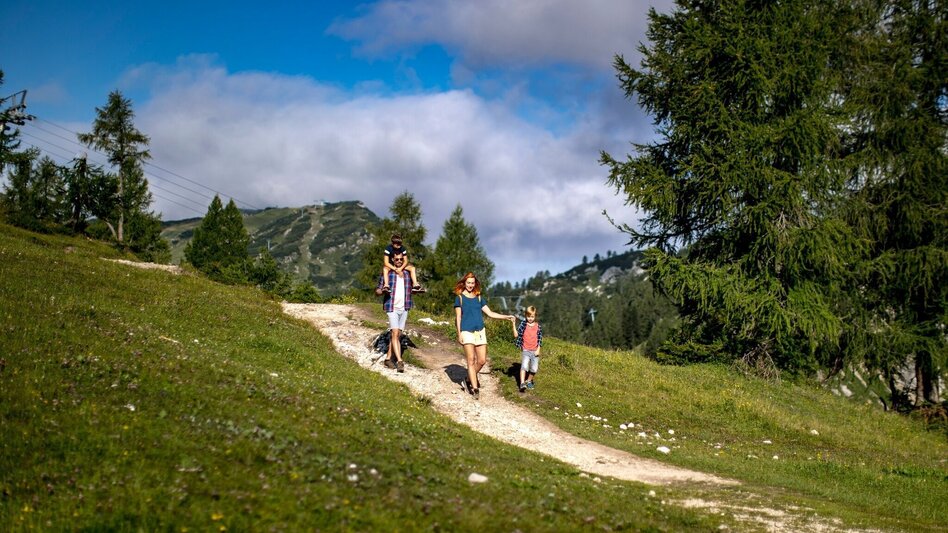 Wanderung Wanderung über den alten Almweg von Tauplitz auf die Tauplitzalm - Touren-Impression #2.3 | © Ausseerland