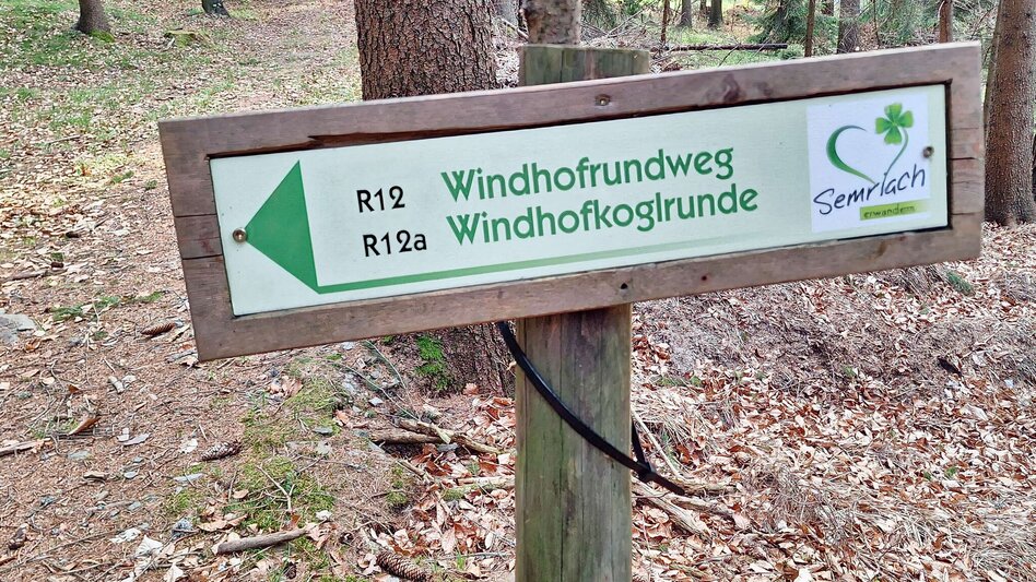 Wanderung Windhofkogelrunde (R12a) - Touren-Impression #2.3