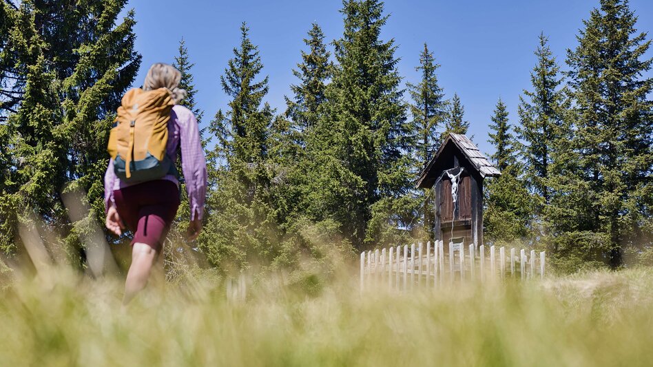 Bike & Hike From Langenwang to Malleistenalm and Hike to Hocheckalm - Touren-Impression #2.1