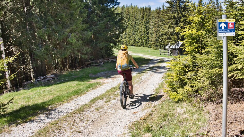 Bike & Hike From Langenwang to Malleistenalm and Hike to Hocheckalm - Touren-Impression #2.4