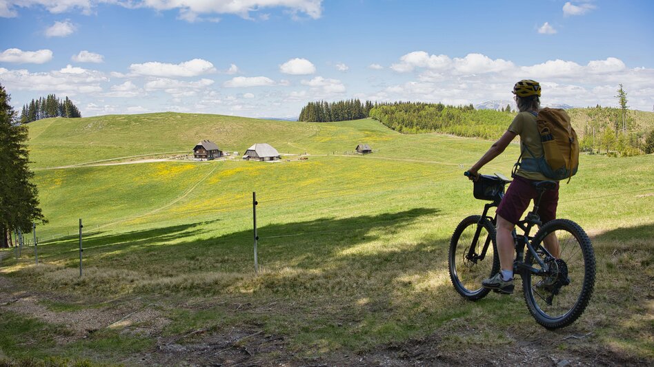 Bike & Hike From Langenwang to Malleistenalm and Hike to Hocheckalm - Touren-Impression #2.5