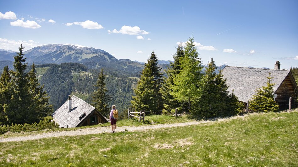 Bike & Hike From Langenwang to Malleistenalm and Hike to Hocheckalm - Touren-Impression #2.8