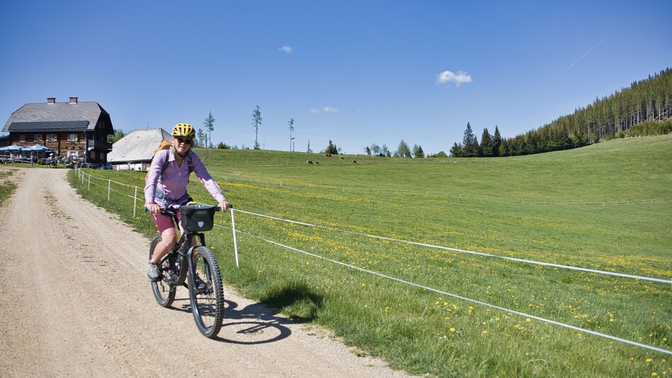 Bike & Hike From Langenwang to Malleistenalm and Hike to Hocheckalm - Touren-Impression #2.9