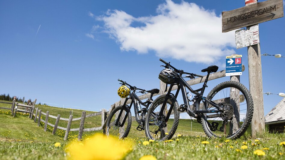 Bike & Hike From Langenwang to Malleistenalm and Hike to Hocheckalm - Touren-Impression #2.10
