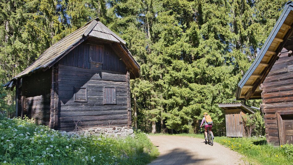 Bike & Hike From Langenwang to Malleistenalm and Hike to Hocheckalm - Touren-Impression #2.11