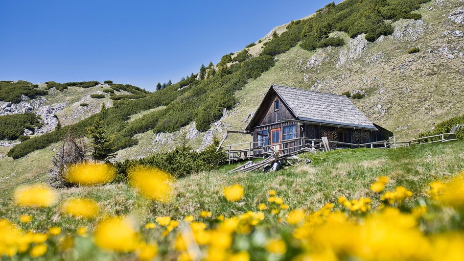 Bike & Hike From Mürzzuschlag to the Schneealpe by Bike and on Foot to Windberg - Touren-Impression #2.6