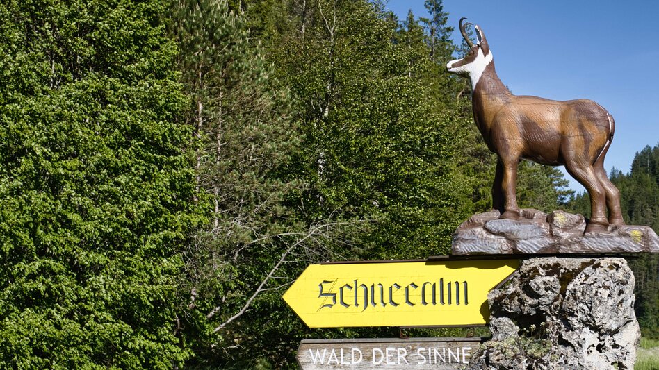 Bike & Hike From Mürzzuschlag to the Schneealpe by Bike and on Foot to Windberg - Touren-Impression #2.11