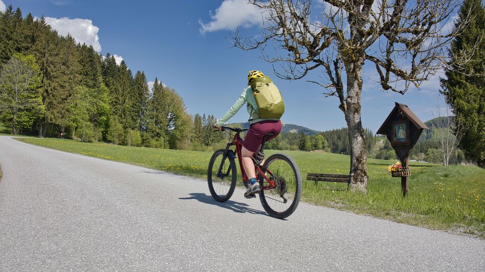 Bike & Hike Von Mariazell auf die Dürrieglalm und zu Fuß auf die Tonion - Touren-Impression #2.6