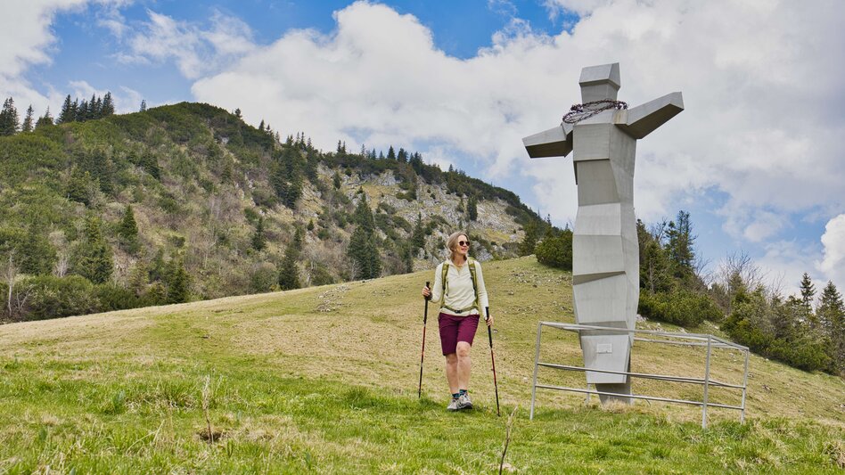 Bike & Hike Von Mariazell auf die Dürrieglalm und zu Fuß auf die Tonion - Touren-Impression #2.10