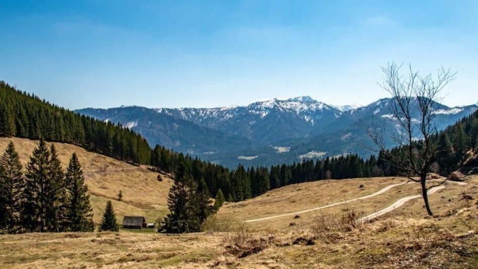 Wanderung Akogel - Reiteralm - Krautgraben  - Touren-Impression #2.1 | © TV Gesäuse