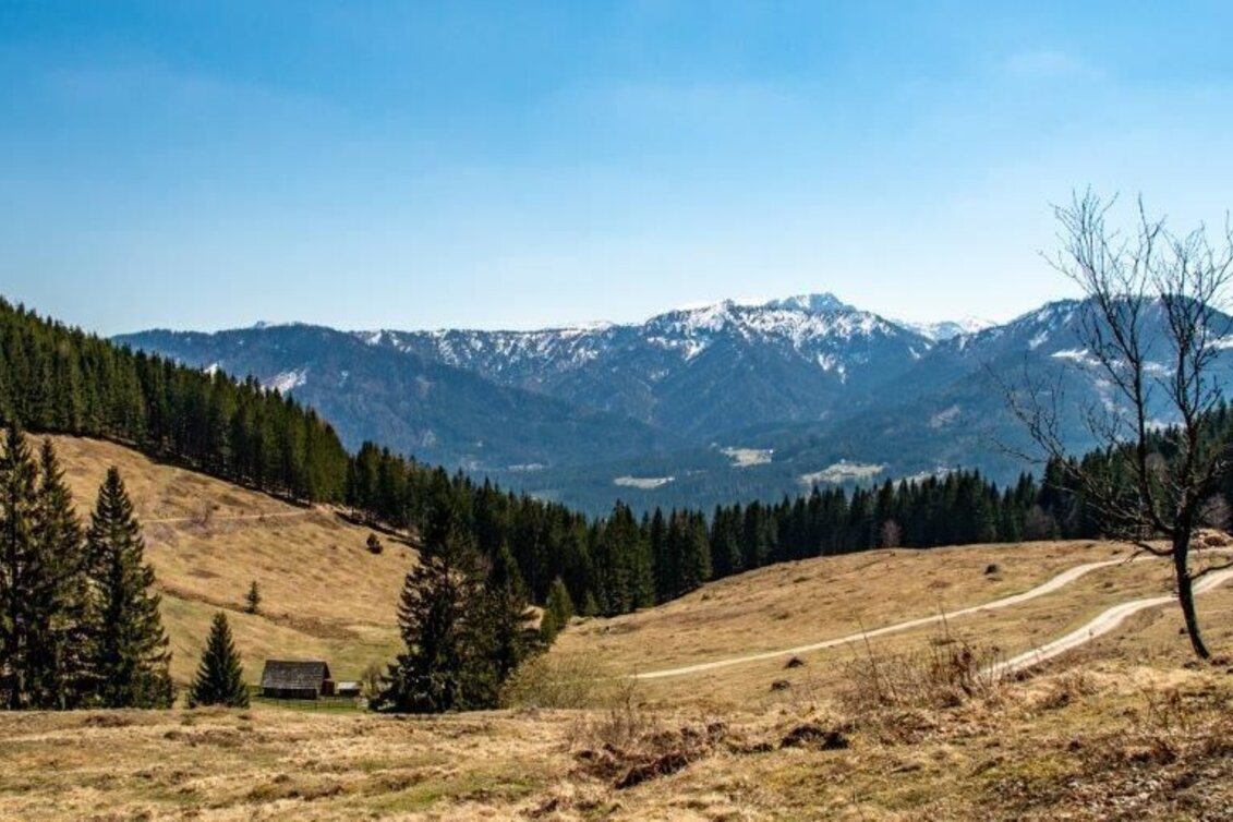 Wanderung Akogel - Reiteralm - Krautgraben  - Touren-Impression #1 | © TV Gesäuse