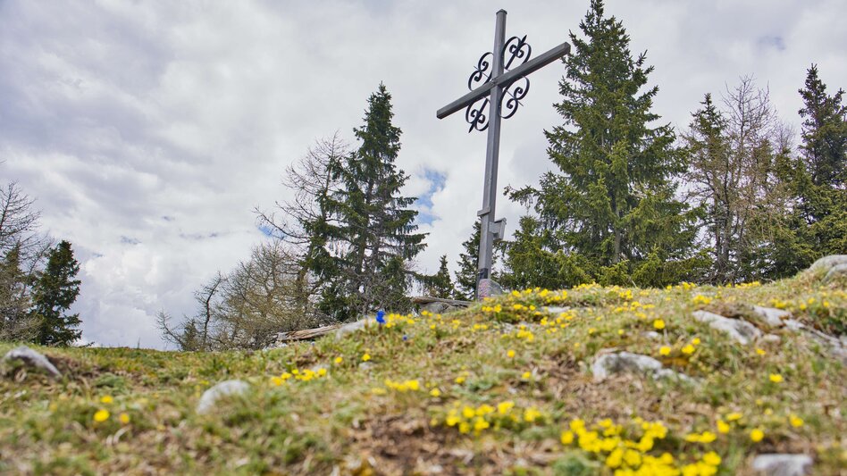 Bike & Hike Von Kapfenberg über Aflenz auf die Schießlingalm und zu Fuß auf den Schießling - Touren-Impression #2.1