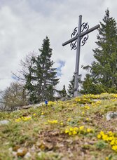 Schießling, 1667 m | Weges OG