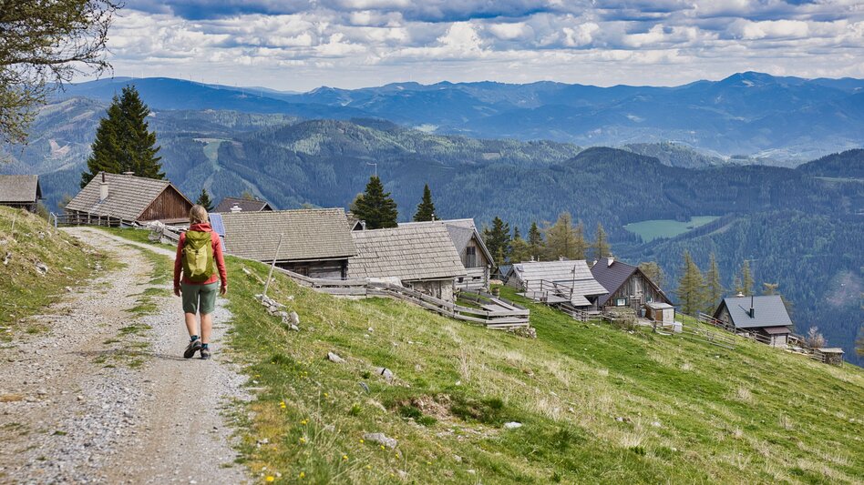 Bike & Hike Von Kapfenberg über Aflenz auf die Schießlingalm und zu Fuß auf den Schießling - Touren-Impression #2.3