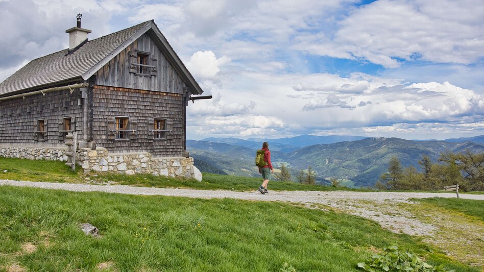 Bike & Hike Von Kapfenberg über Aflenz auf die Schießlingalm und zu Fuß auf den Schießling - Touren-Impression #2.7